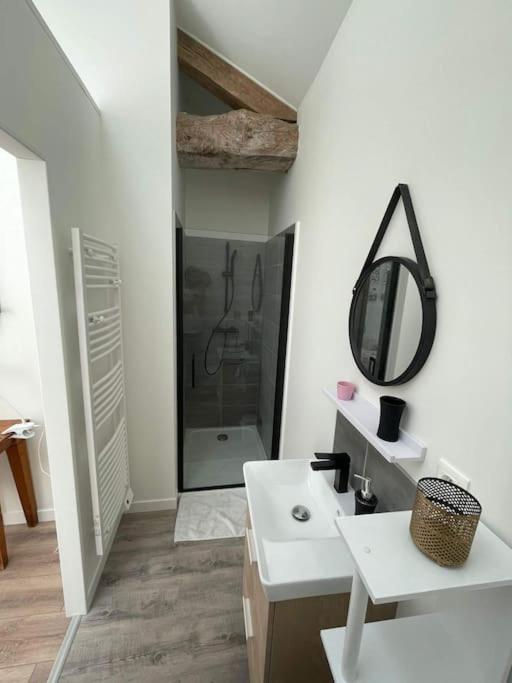 Maison Les Iris - 3 Chambres Et 3 Salles De Bain - 3 A 6 Personnes - Futuroscope Avanton Luaran gambar